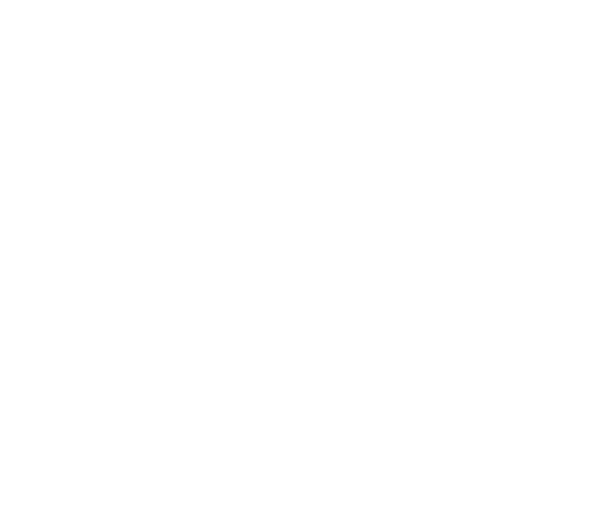 Joystick